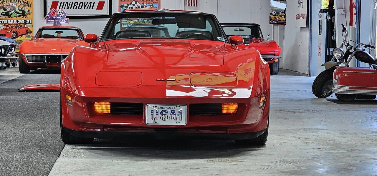 1981 Chevrolet Corvette C3 - Image 15 of 31