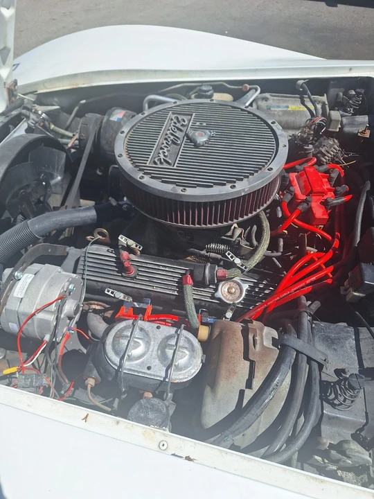 1981 Chevrolet Corvette C3 - Image 10 of 10