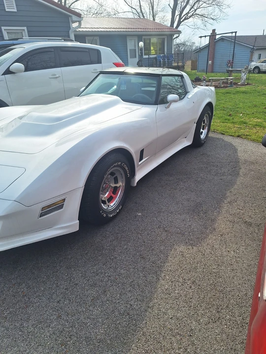 1981 Chevrolet Corvette C3 - Image 3 of 10