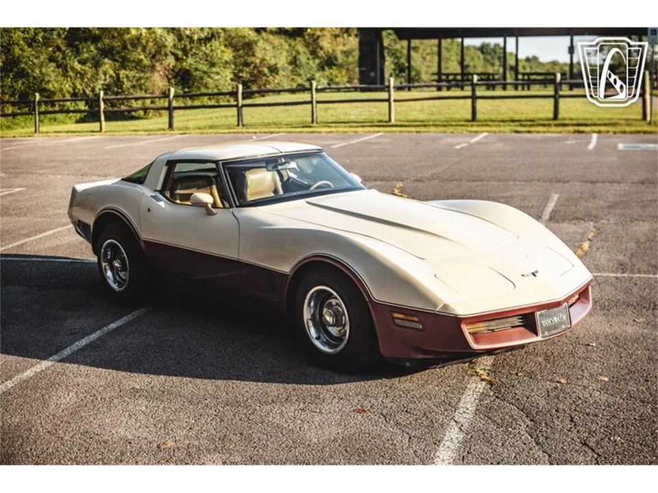 1981 Chevrolet Corvette C3 - Image 21 of 31
