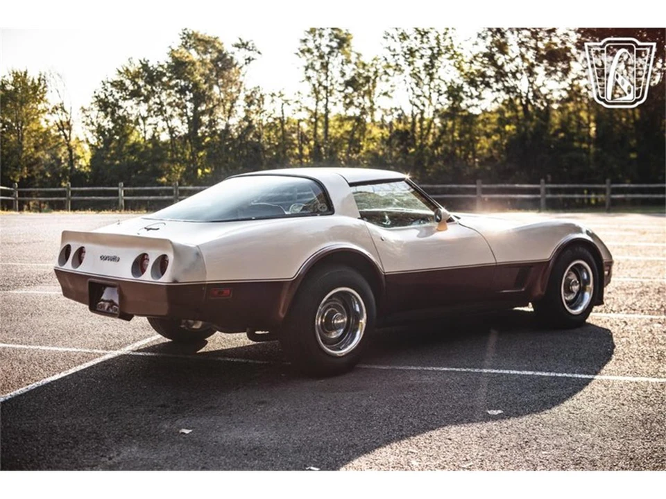 1981 Chevrolet Corvette C3 - Image 16 of 31