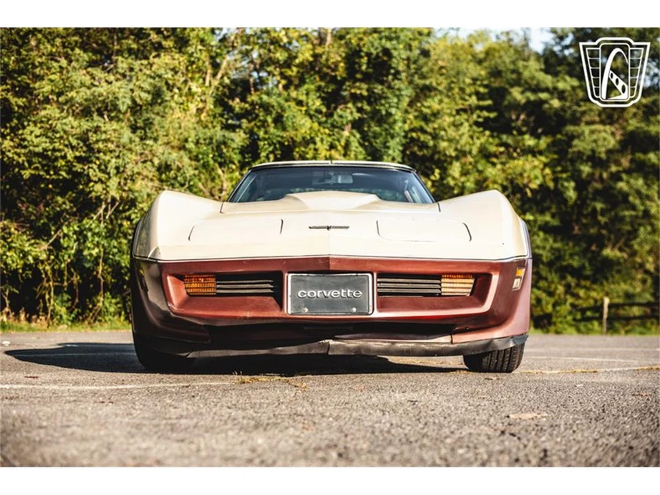 1981 Chevrolet Corvette C3 - Image 26 of 31