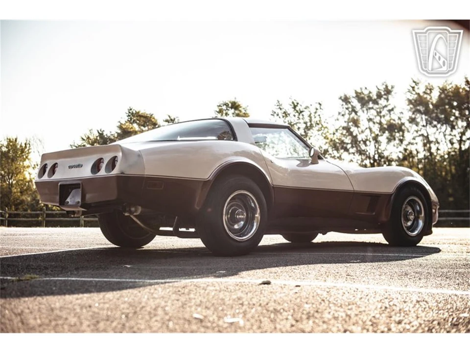 1981 Chevrolet Corvette C3 - Image 17 of 31