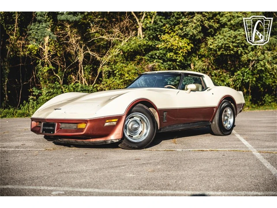 1981 Chevrolet Corvette C3 - Image 2 of 31