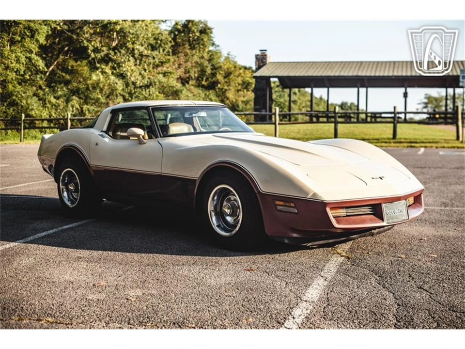 1981 Chevrolet Corvette C3 - Image 22 of 31