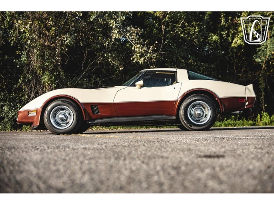 1981 Chevrolet Corvette C3 - Image 8 of 31