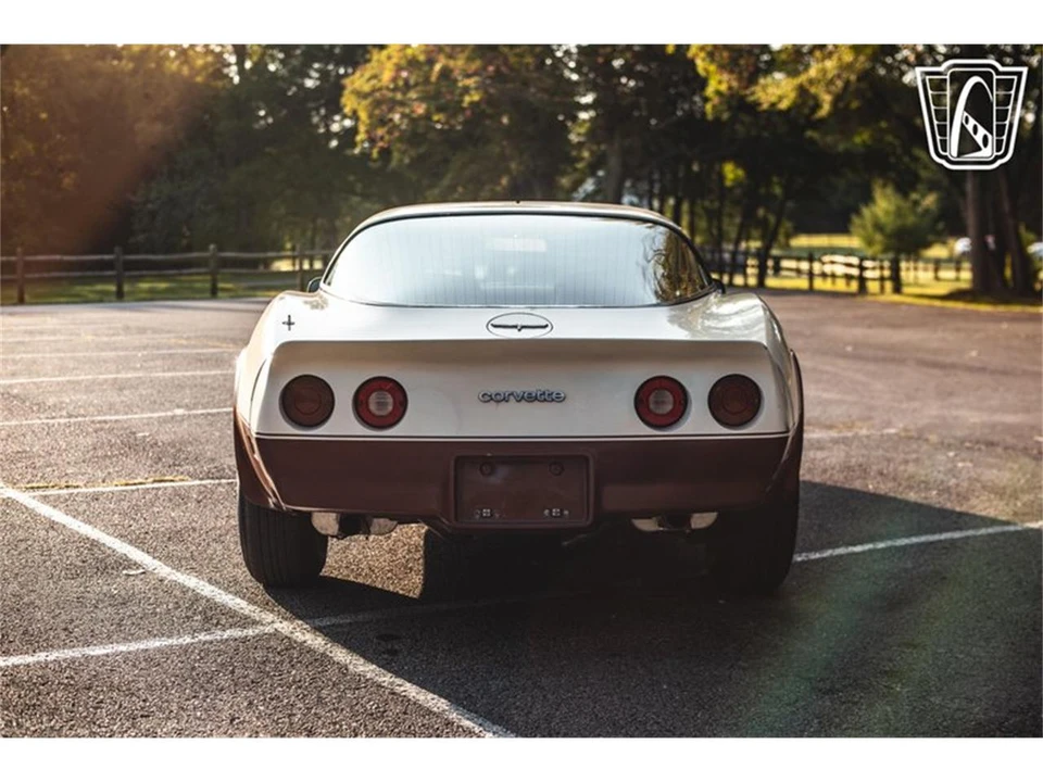 1981 Chevrolet Corvette C3 - Image 13 of 31