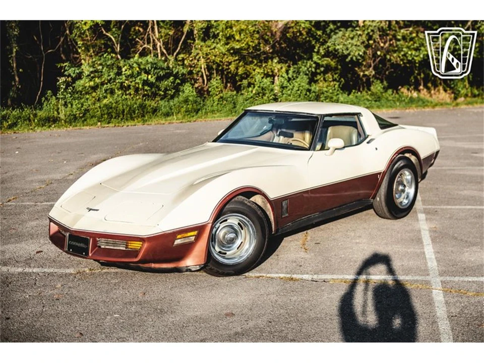 1981 Chevrolet Corvette C3 - Image 3 of 31