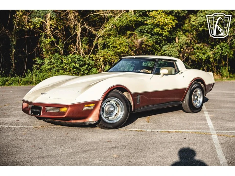 1981 Chevrolet Corvette C3 - Image 4 of 31