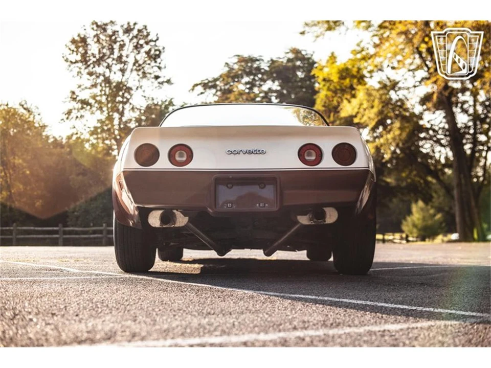 1981 Chevrolet Corvette C3 - Image 14 of 31