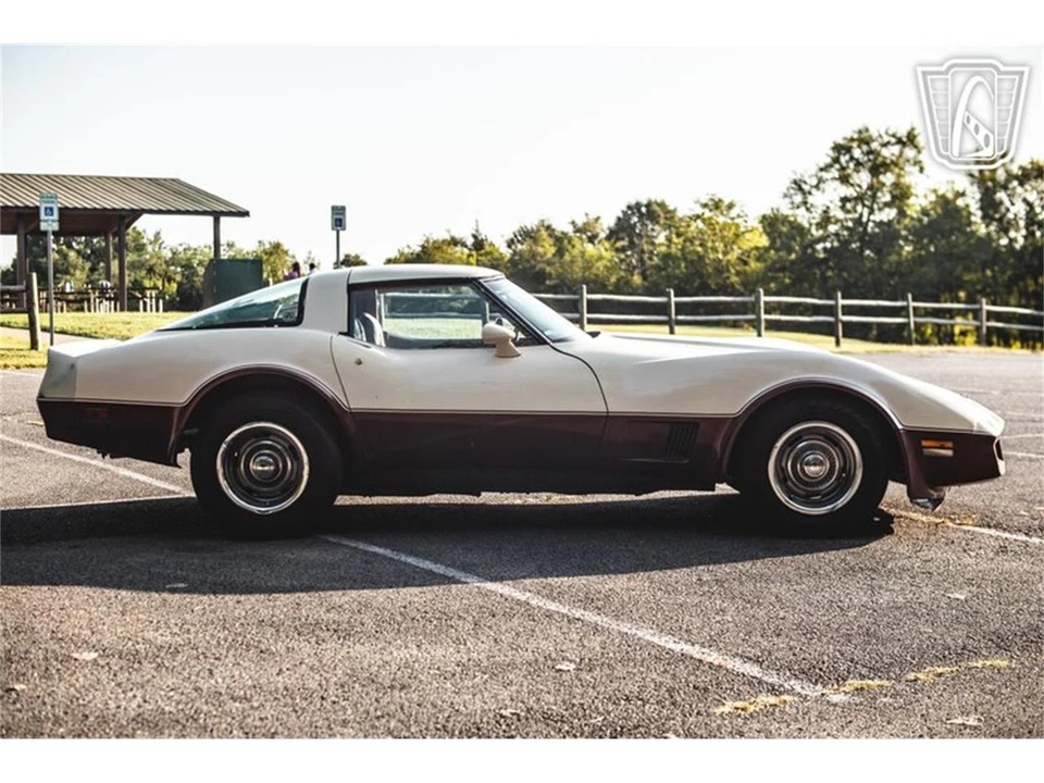 1981 Chevrolet Corvette C3 - Image 19 of 31