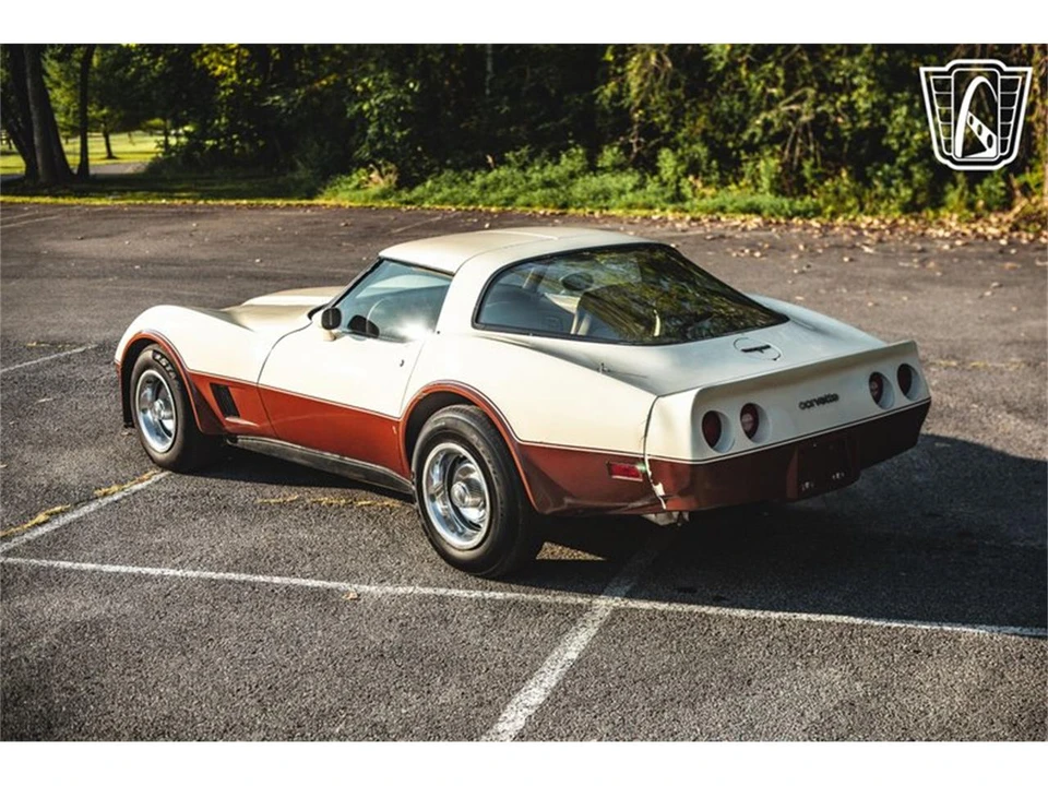 1981 Chevrolet Corvette C3 - Image 9 of 31