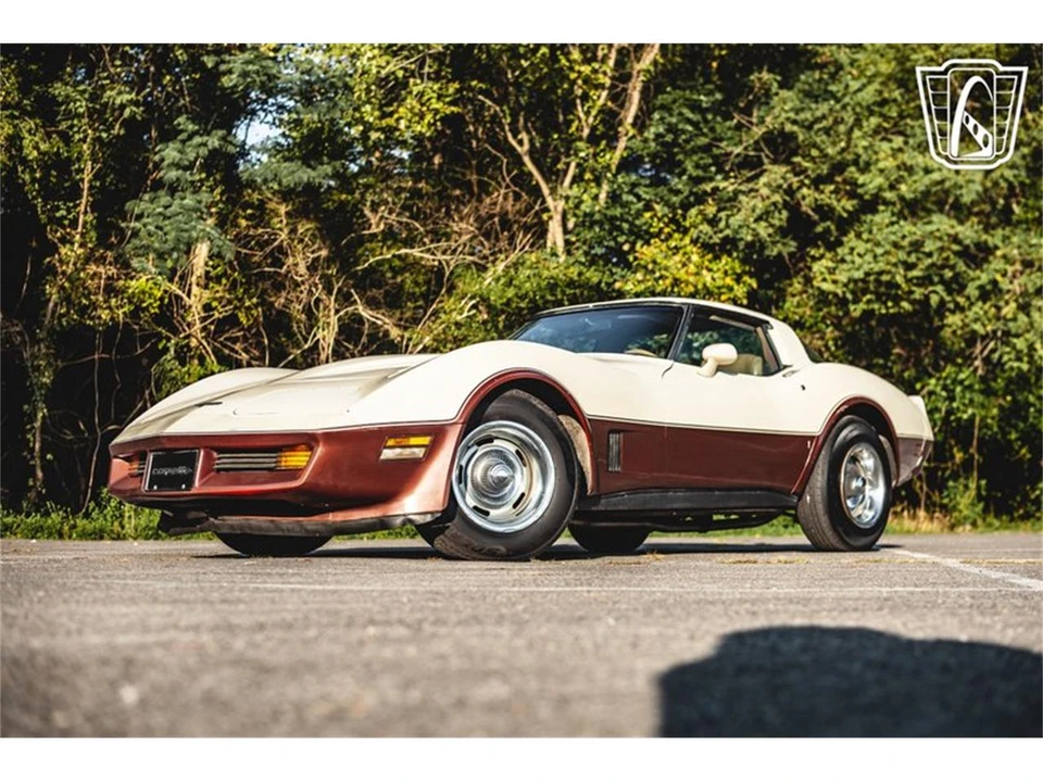 1981 Chevrolet Corvette C3 - Image 5 of 31