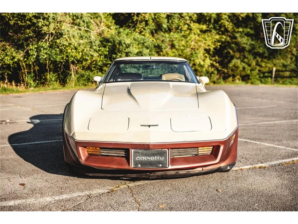 1981 Chevrolet Corvette C3 - Image 25 of 31