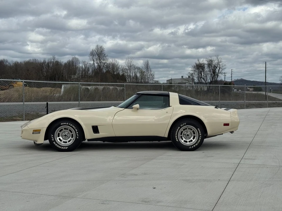 1981 Chevrolet Corvette C3 - Image 15 of 31