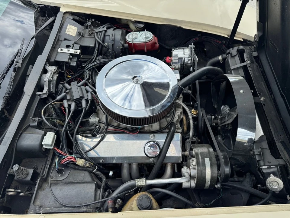 1981 Chevrolet Corvette C3 - Image 3 of 31