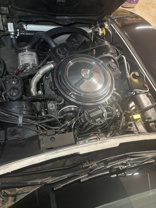 1981 Chevrolet Corvette C3 - Image 10 of 10