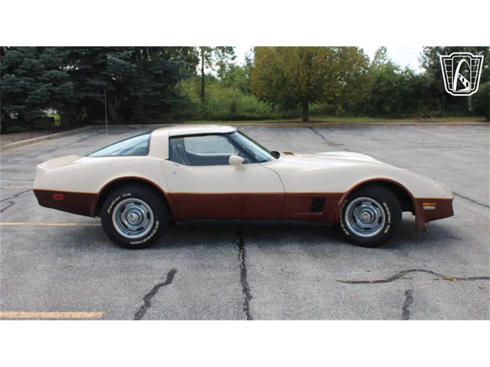 1981 Chevrolet Corvette C3 - Image 31 of 31
