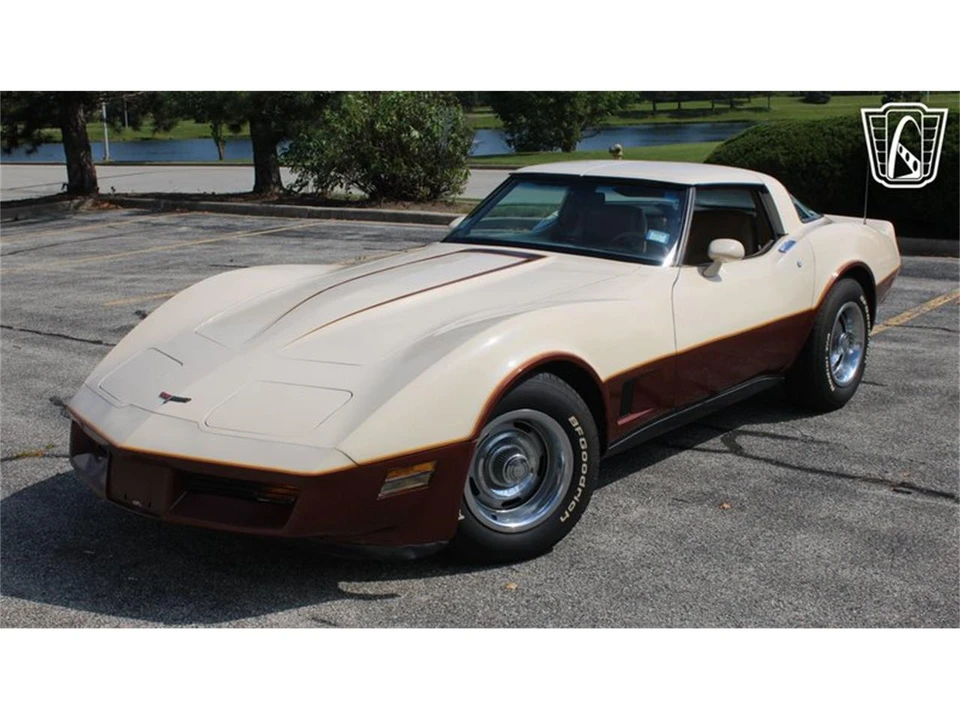 1981 Chevrolet Corvette C3 - Image 21 of 31