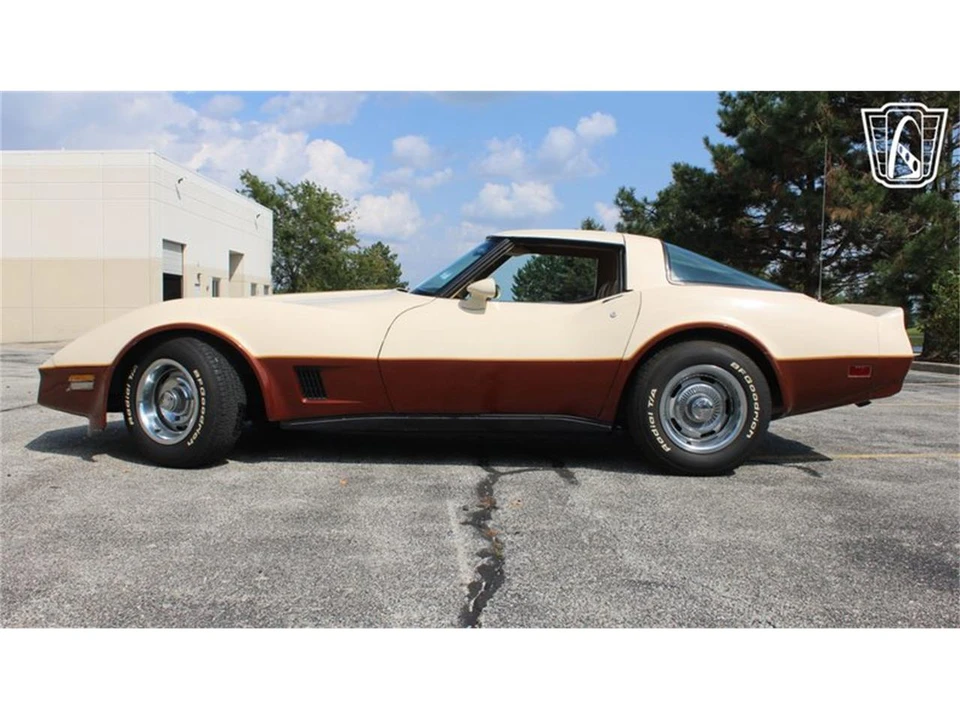 1981 Chevrolet Corvette C3 - Image 7 of 31