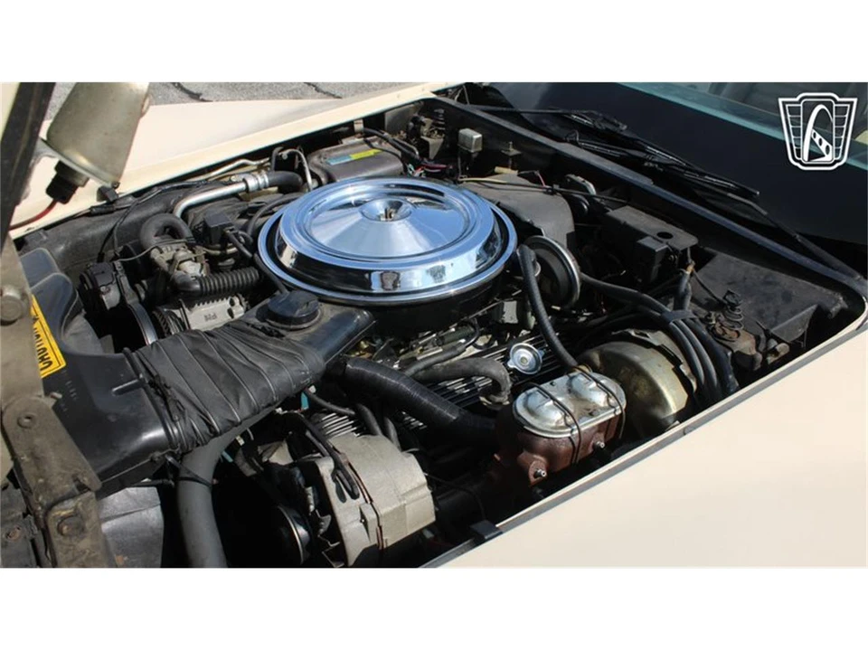 1981 Chevrolet Corvette C3 - Image 9 of 31
