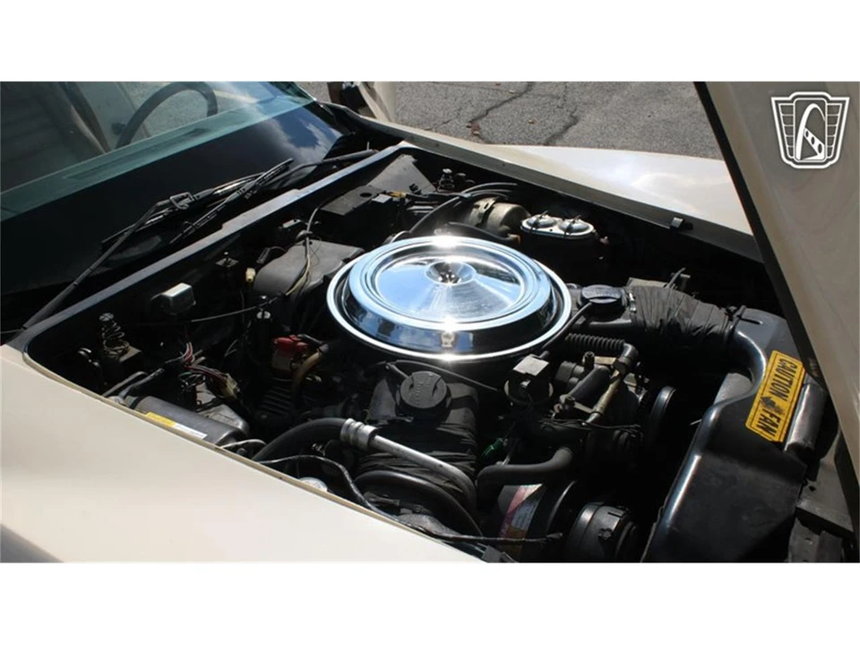 1981 Chevrolet Corvette C3 - Image 10 of 31