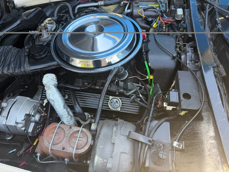 1981 Chevrolet Corvette C3 - Image 4 of 20