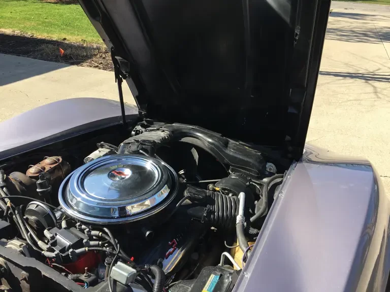 1981 Chevrolet Corvette C3 - Image 5 of 7