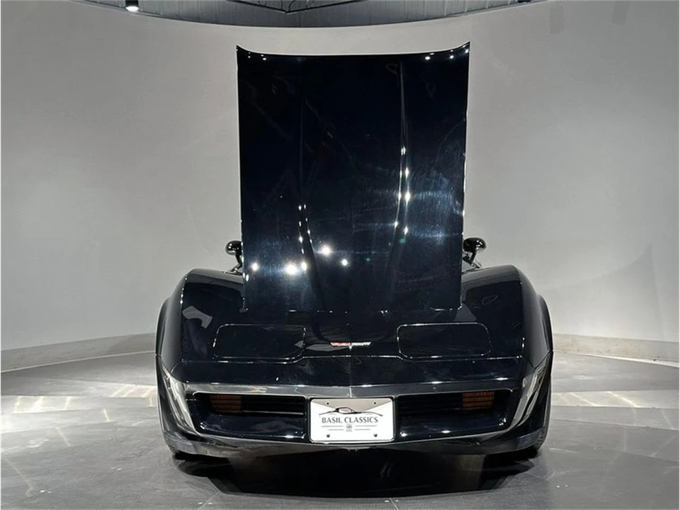 1981 Chevrolet Corvette C3 - Image 16 of 31