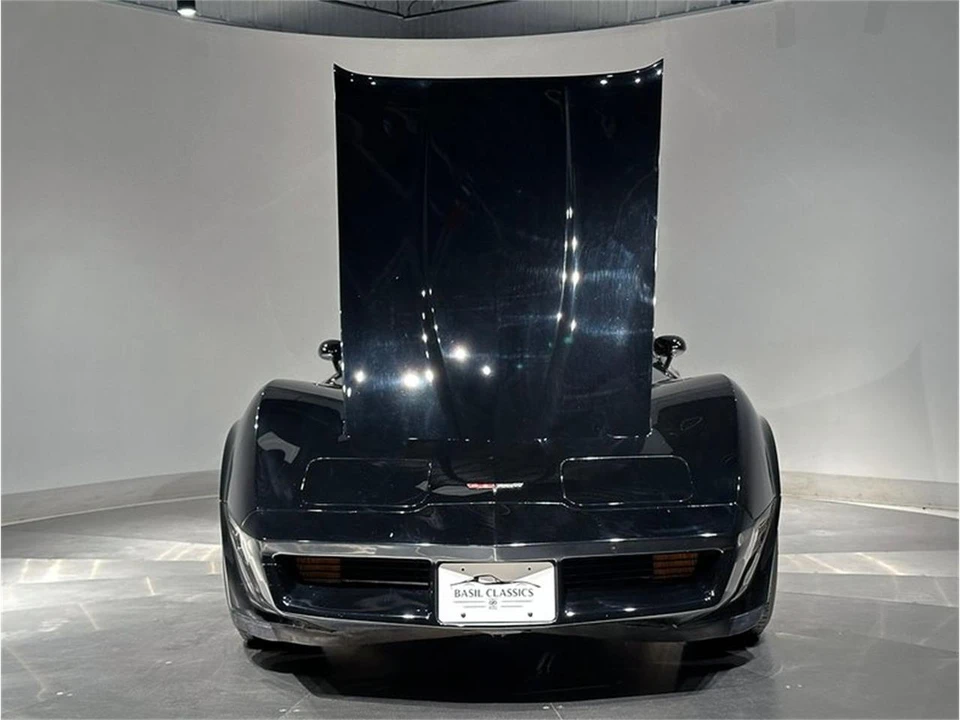 1981 Chevrolet Corvette C3 - Image 16 of 31