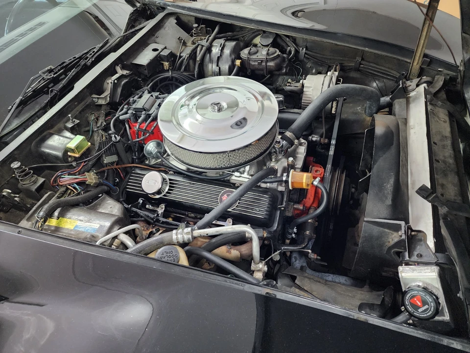 1981 Chevrolet Corvette C3 - Image 13 of 17
