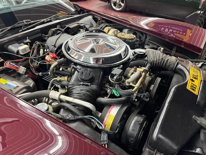 1981 Chevrolet Corvette C3 - Image 10 of 18