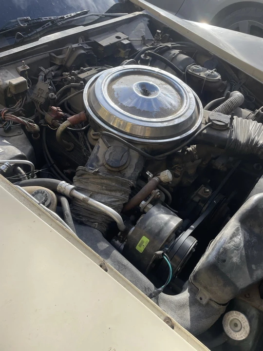 1981 Chevrolet Corvette C3 - Image 20 of 24