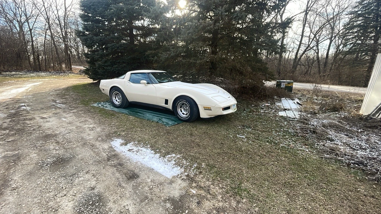 1981 Chevrolet Corvette C3 - Image 23 of 24
