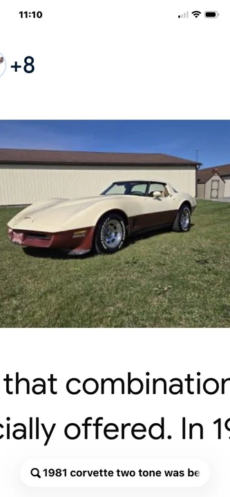 1981 Chevrolet Corvette C3 - Image 19 of 24