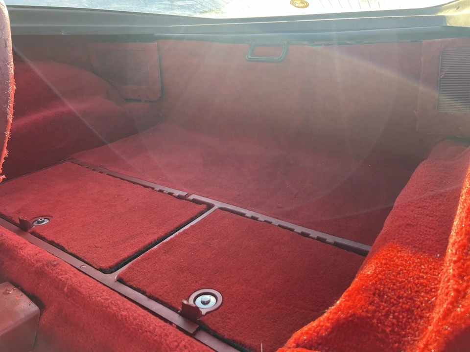1981 Chevrolet Corvette C3 - Image 19 of 21