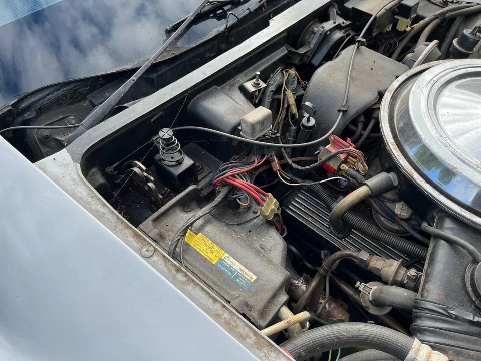 1981 Chevrolet Corvette C3 - Image 17 of 31