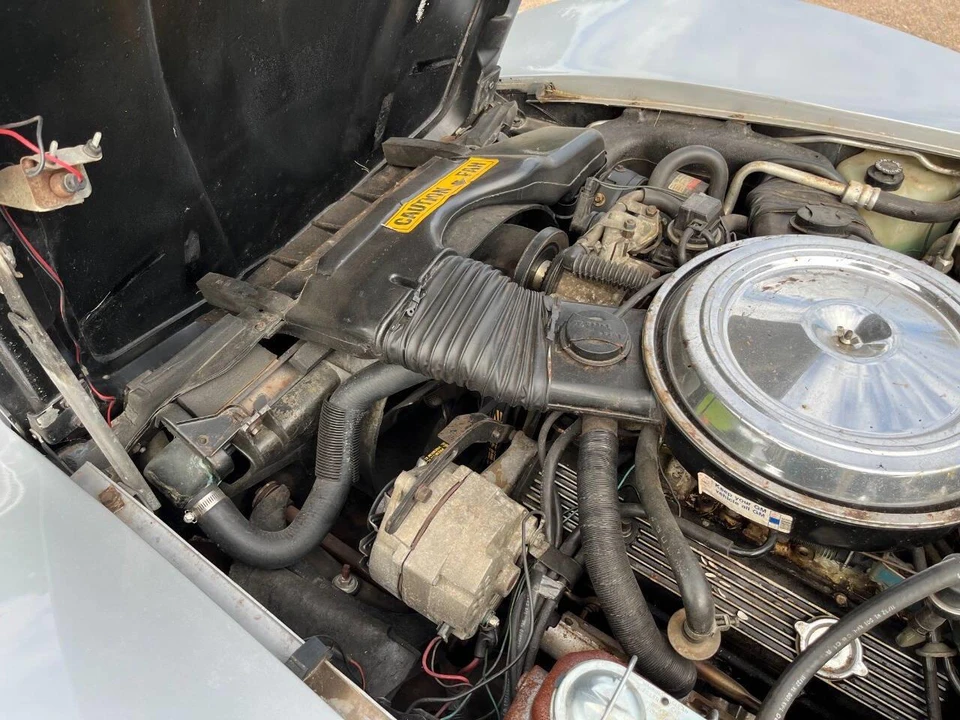 1981 Chevrolet Corvette C3 - Image 13 of 31