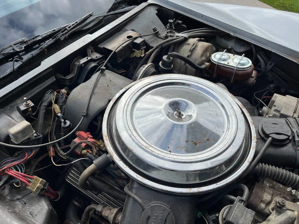 1981 Chevrolet Corvette C3 - Image 18 of 31