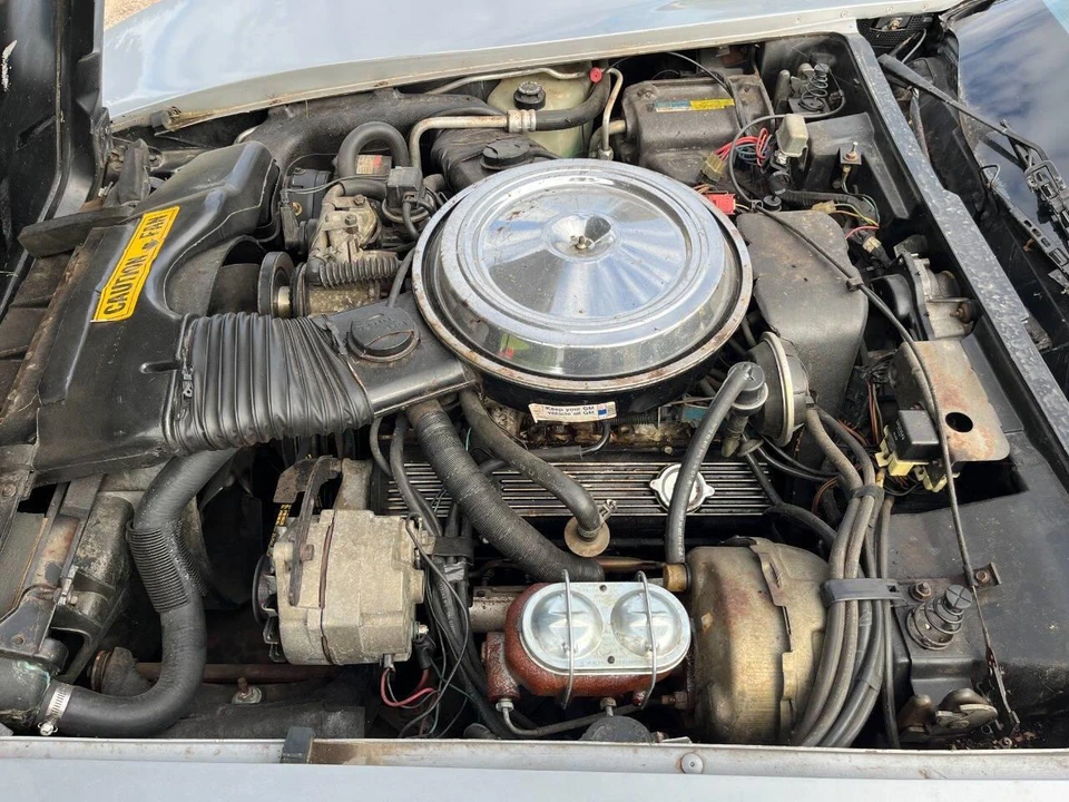 1981 Chevrolet Corvette C3 - Image 10 of 31