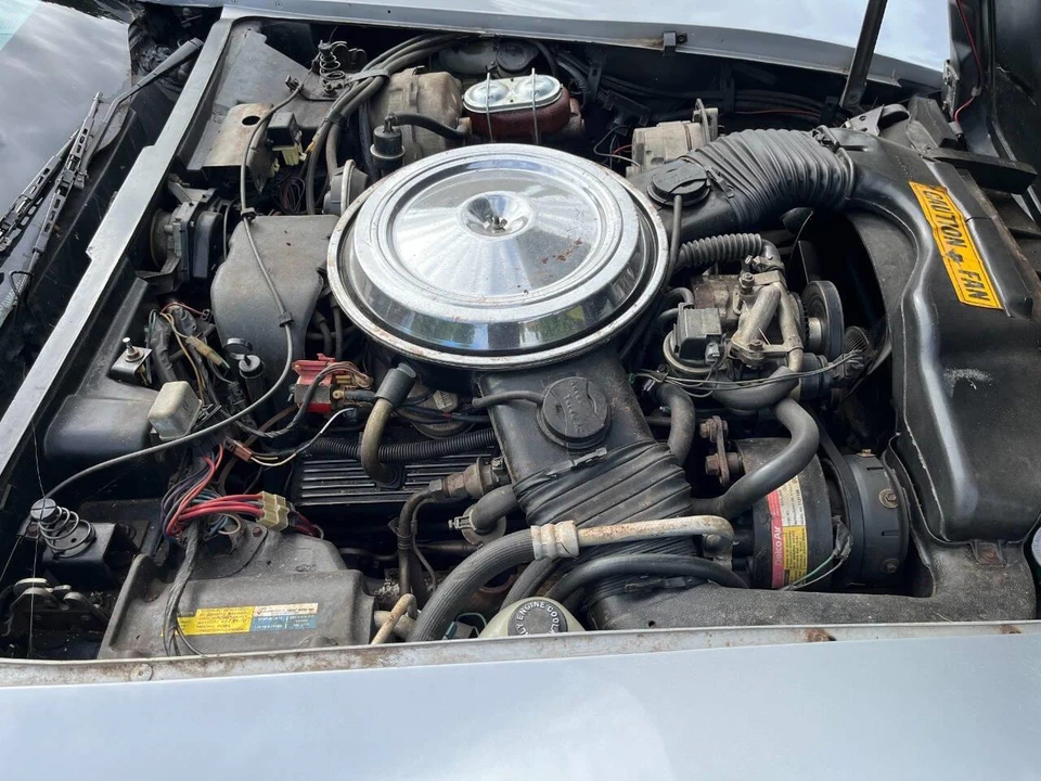 1981 Chevrolet Corvette C3 - Image 15 of 31