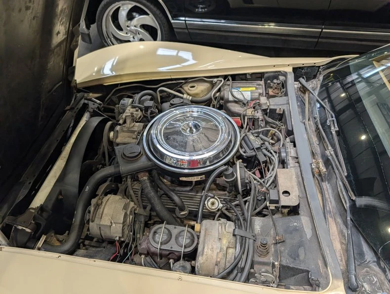 1981 Chevrolet Corvette C3 - Image 9 of 10