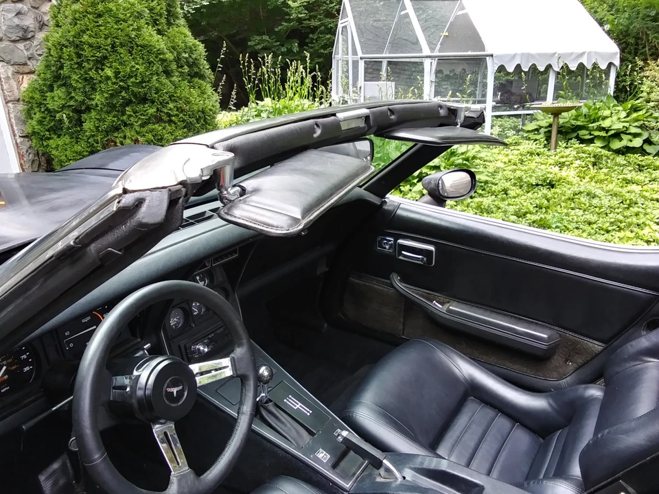 1981 Chevrolet Corvette C3 - Image 12 of 24