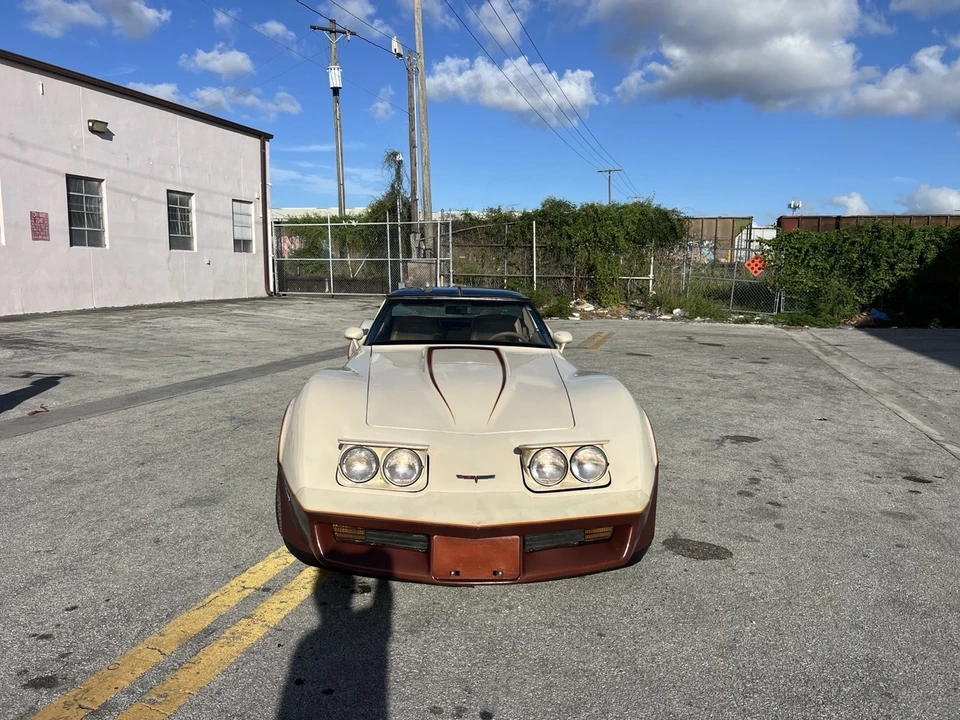 1981 Chevrolet Corvette C3 - Image 13 of 21