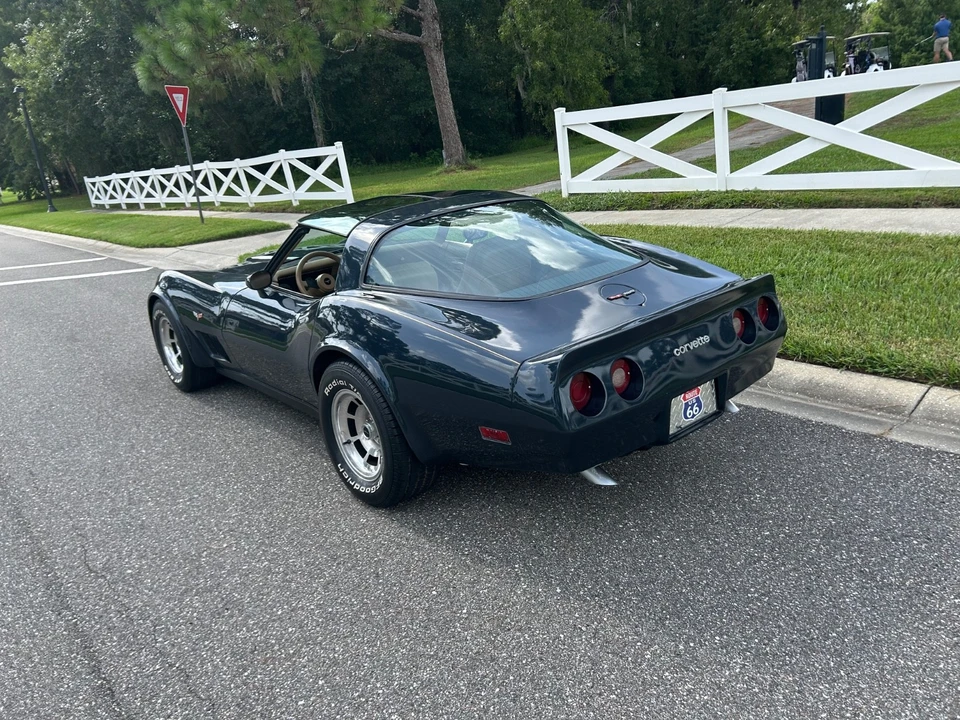 1981 Chevrolet Corvette C3 - Image 15 of 31