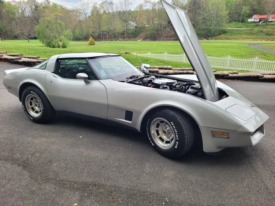 1981 Chevrolet Corvette C3 - Image 11 of 14