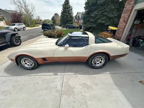 1981 Chevrolet Corvette