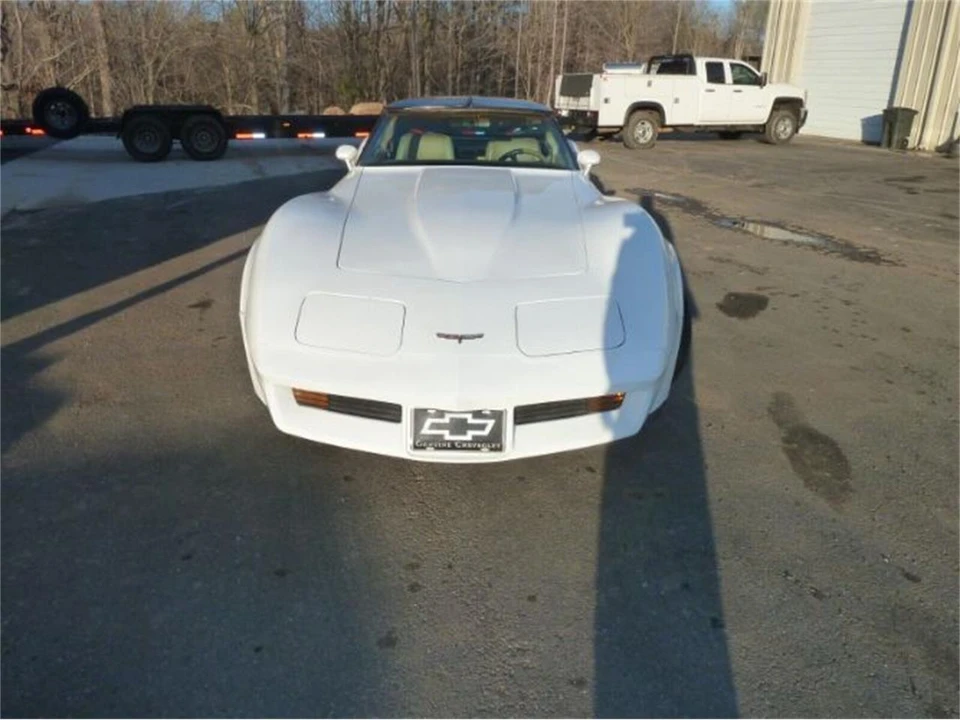 1981 Chevrolet Corvette C3 - Image 16 of 21