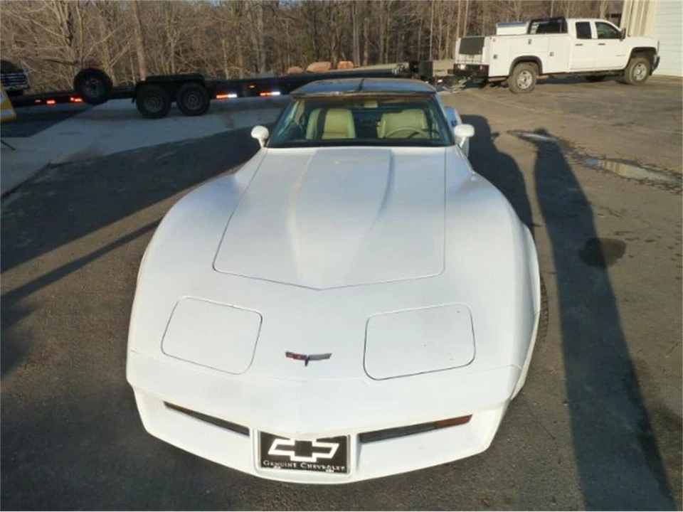 1981 Chevrolet Corvette C3 - Image 10 of 21