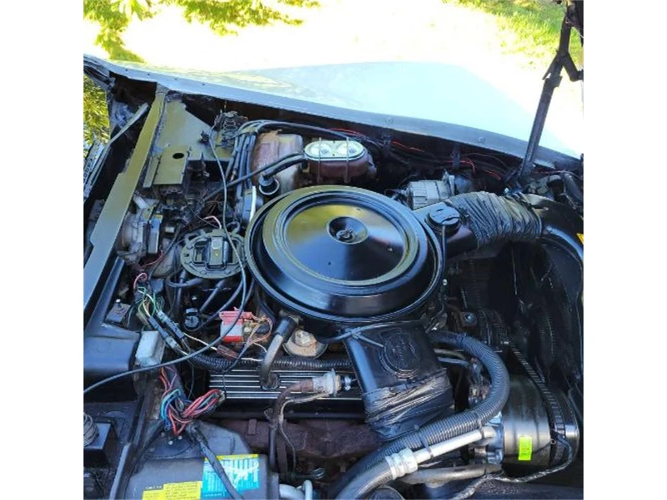 1981 Chevrolet Corvette C3 - Image 11 of 18